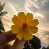 zarish.ali01