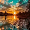 bookz657