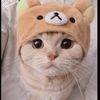 sya_sya854