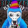 siroxtag