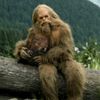 theofficialsquatch