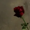 ii79490