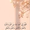 user9162626530390