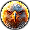 rana.aswad31