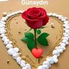 hamit.teke8