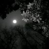 salmamohamed59761