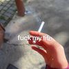 snayl_cepi