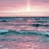 _angelina635