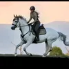desejofeminino4