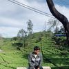 hen_official1