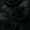 ubah.yousuf6