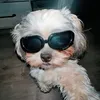 eva_bspa