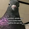emilly.mendes304