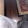 rkx.chris