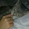 m.m..m.m.m.m.m.m