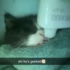 freerkelly59