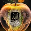 sahar05929