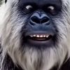babajutyisgood