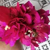 gerliane.silva95