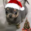 juanpa_2337