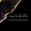jana.ahmed7078