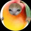 mangosthebest13