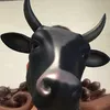nhincailon_63ra1