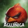axelqchw
