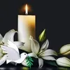totchie.mohana