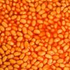 backed_beans_alt