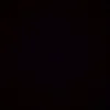 enzin.011__