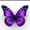user40771661417149