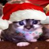 haydee.checo