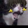 bachirahola9