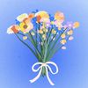 rosel_b6
