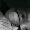 soyfandefede67