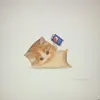 nickphujj_maa0