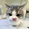 zennnn_2112