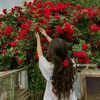moe.thu.zar6874