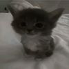 user795908187