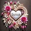 zainabmuhammad3567