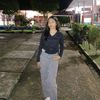 diandian1702