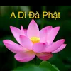 _phat_phap_nhan_qua_