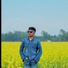 mostofashams882