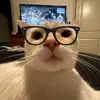 ana_jessica72