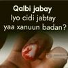 abuwalad40