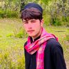 shahidkhang892