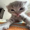 iampminh_