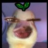 nadaaa_30