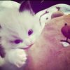 holawuwsh